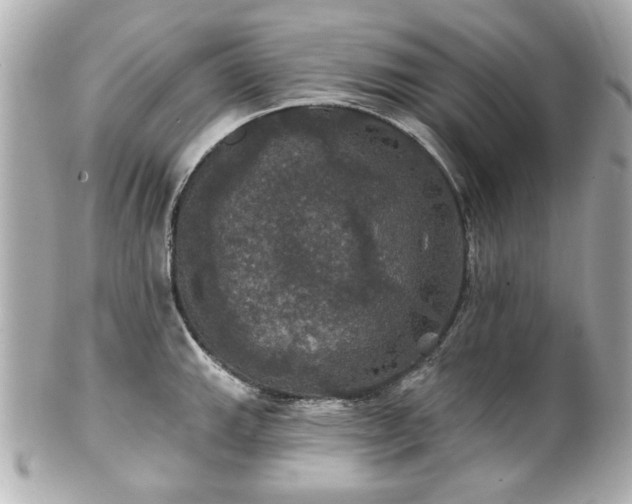 X0000100891143200807011151