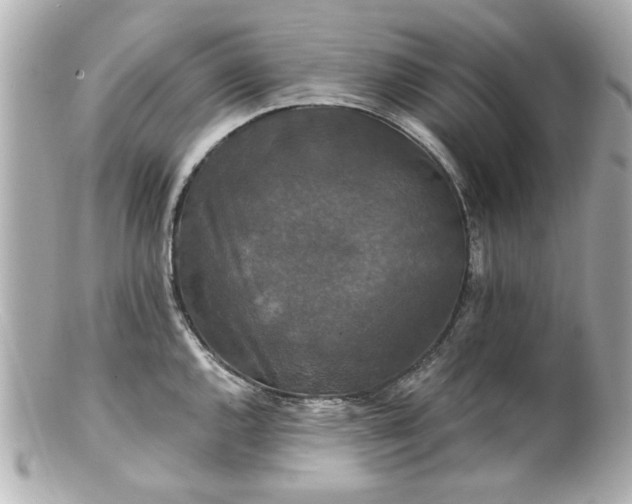 X0000100891144200807011151