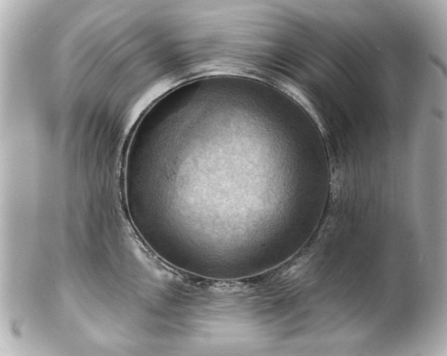 X0000100891146200807011151