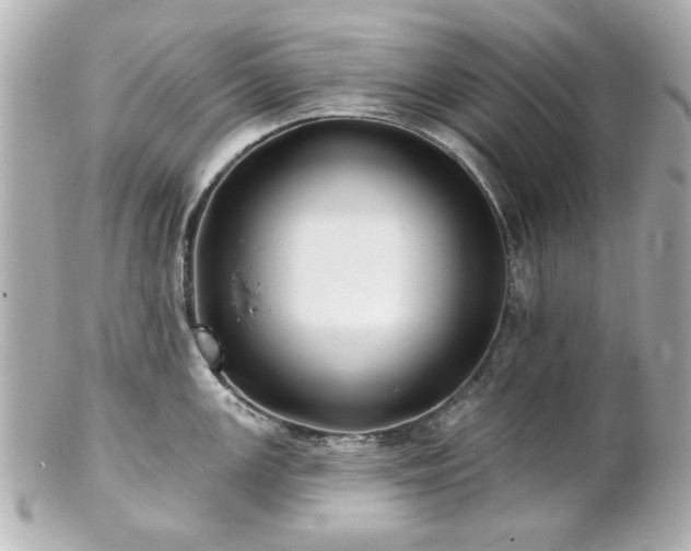 X0000100891147200807011151
