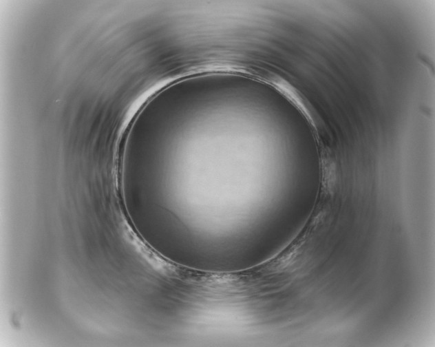 X0000100891148200807011151
