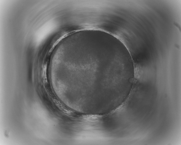X0000100891150200807011151