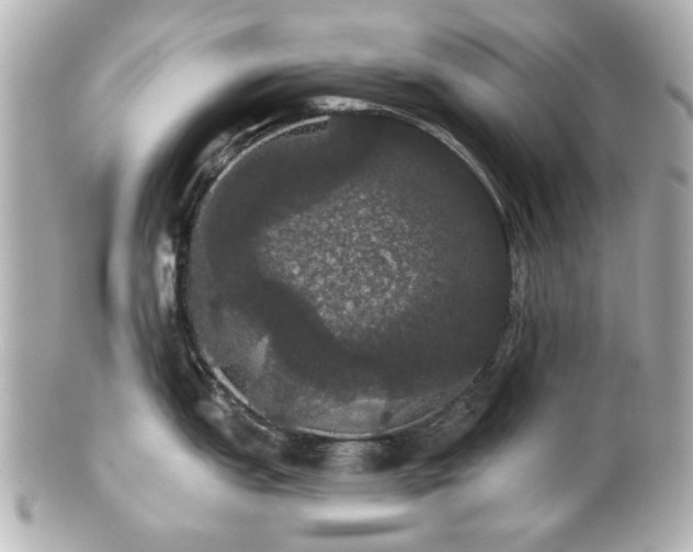 X0000100891151200807011151