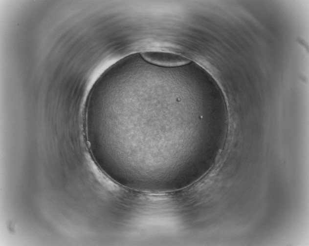 X0000100891152200807011151