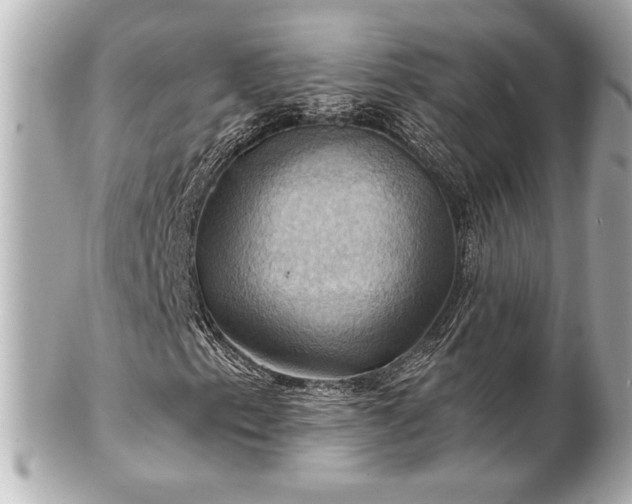 X0000100891153200807011150