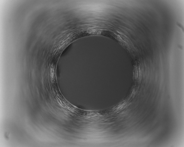 X0000100891154200807011150
