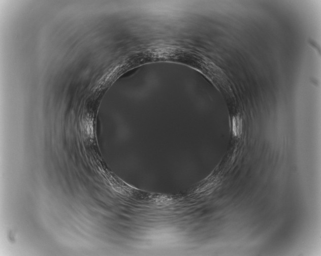 X0000100891155200807011150