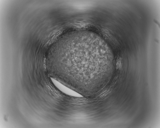 X0000100891156200807011150