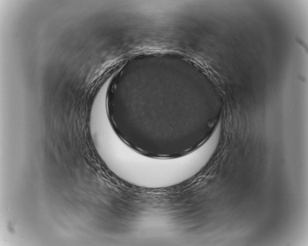 X0000100891157200807011150