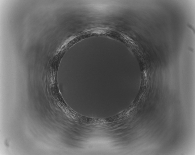 X0000100891158200807011150