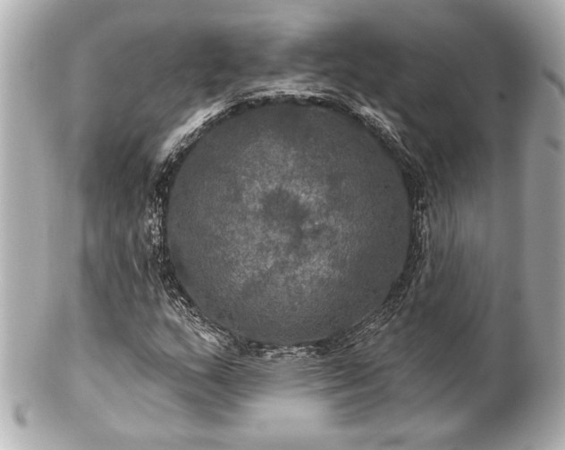 X0000100891159200807011150