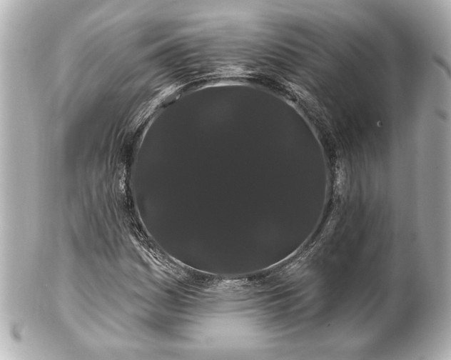 X0000100891161200807011150