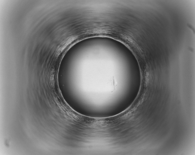 X0000100891162200807011150