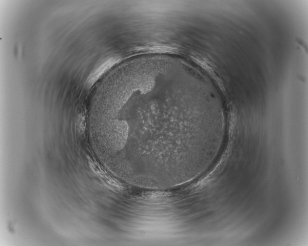 X0000100891163200807011150