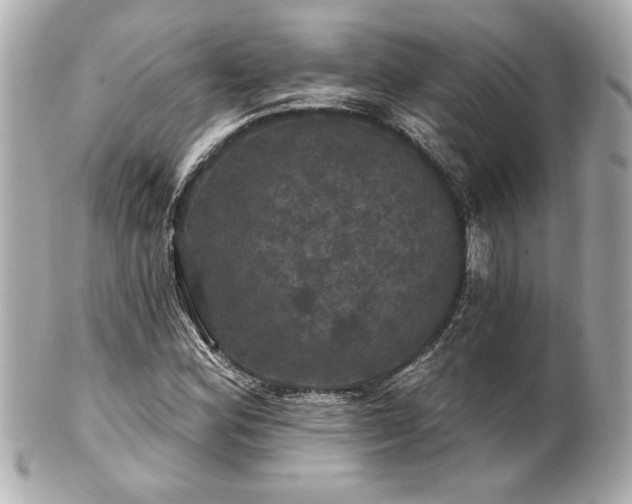 X0000100891164200807011150