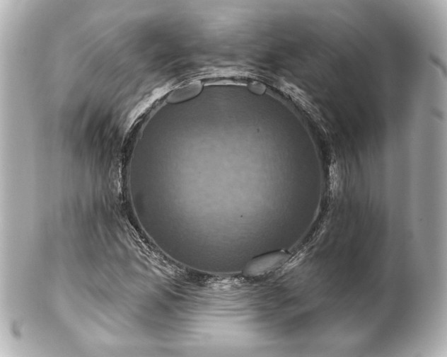 X0000100891165200807011150