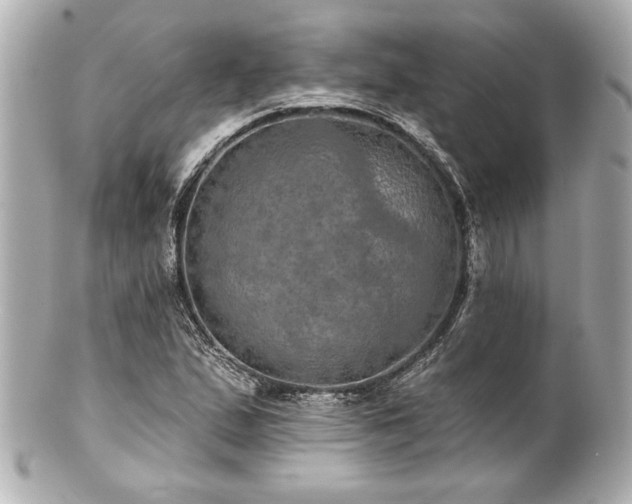 X0000100891167200807011150