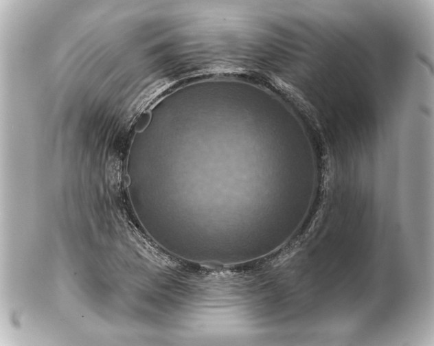 X0000100891169200807011150