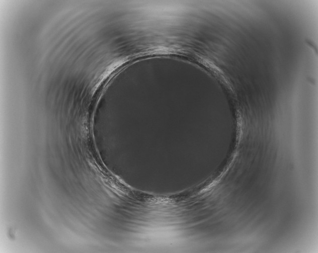 X0000100891170200807011150