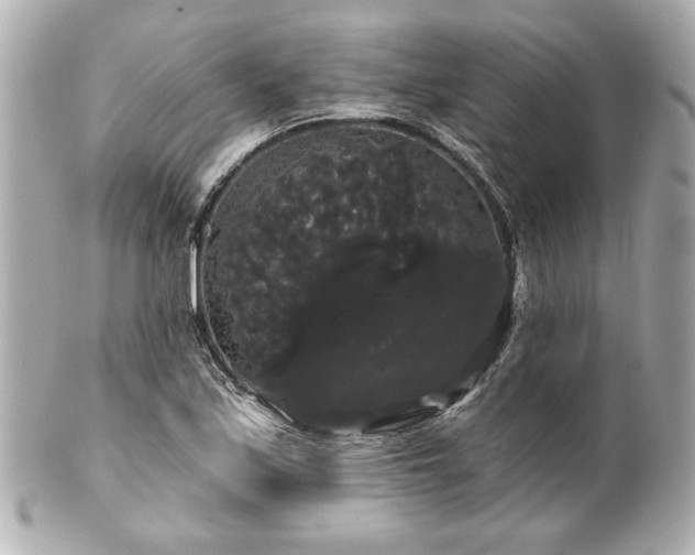 X0000100891171200807011150
