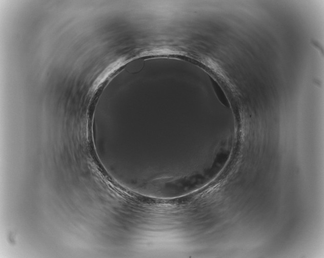 X0000100891173200807011150