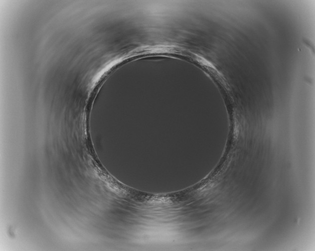 X0000100891174200807011150
