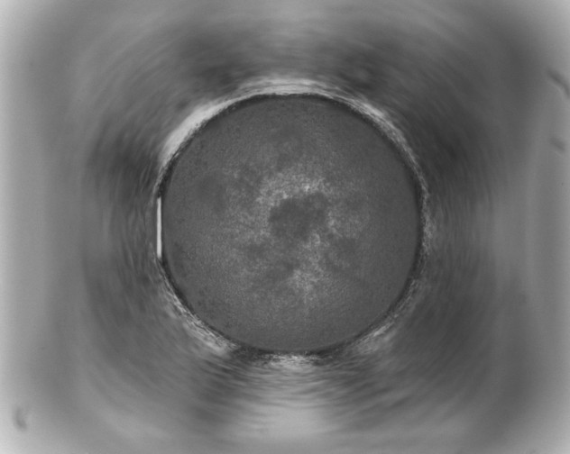 X0000100891175200807011150