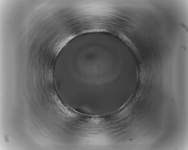 X0000100891177200807011150