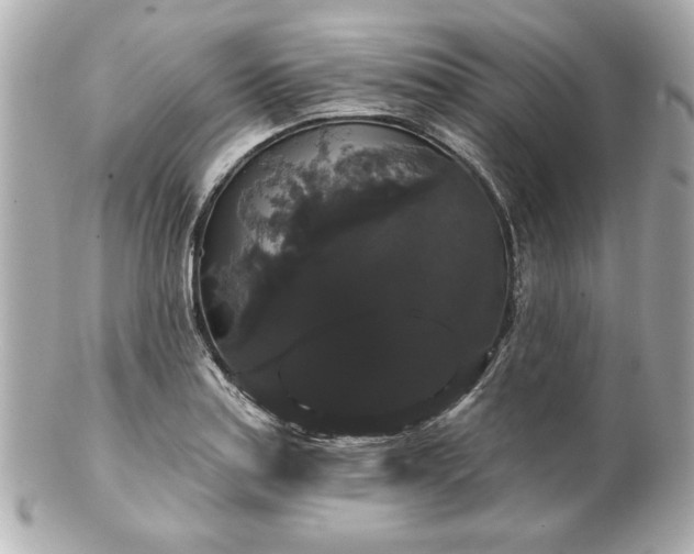 X0000100891179200807011150