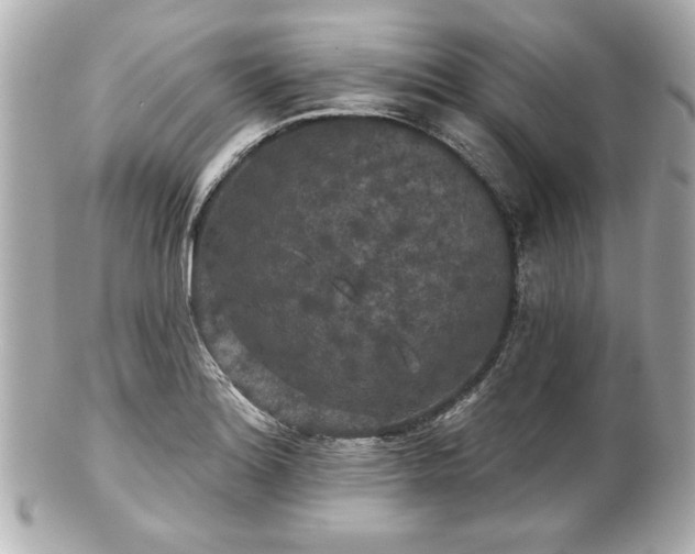 X0000100891180200807011150
