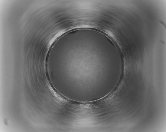 X0000100891181200807011150