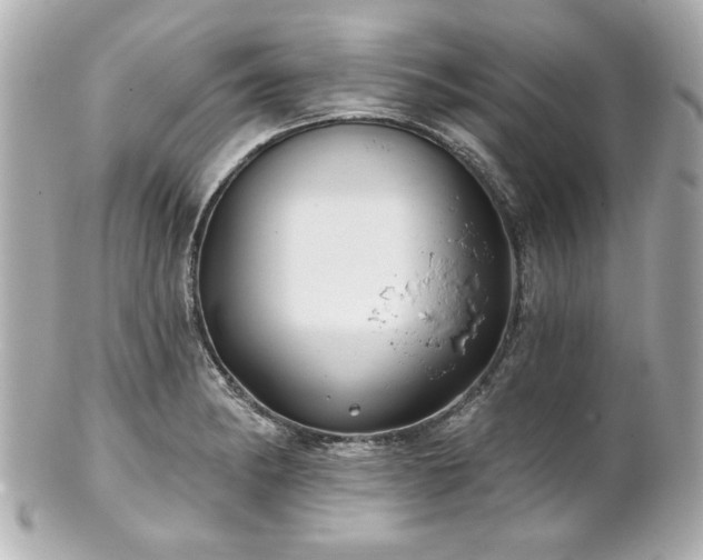 X0000100891182200807011150