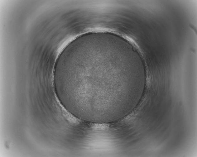X0000100891183200807011150
