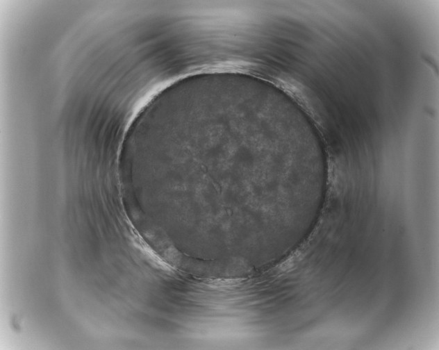 X0000100891184200807011150