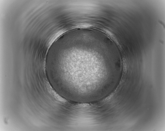 X0000100891186200807011150