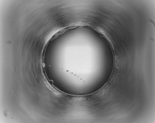 X0000100891187200807011150