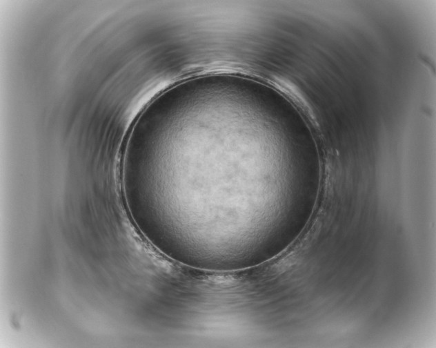 X0000100891190200807011150