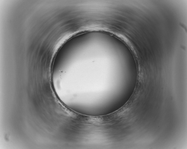 X0000100891191200807011150