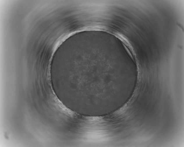 X0000100891192200807011150