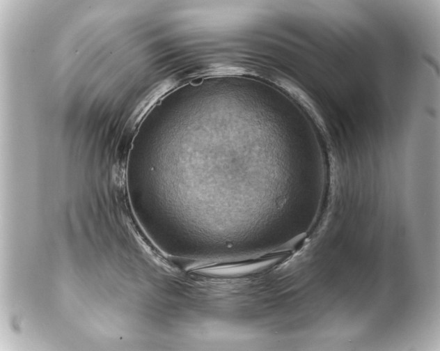 X0000100891193200807011150
