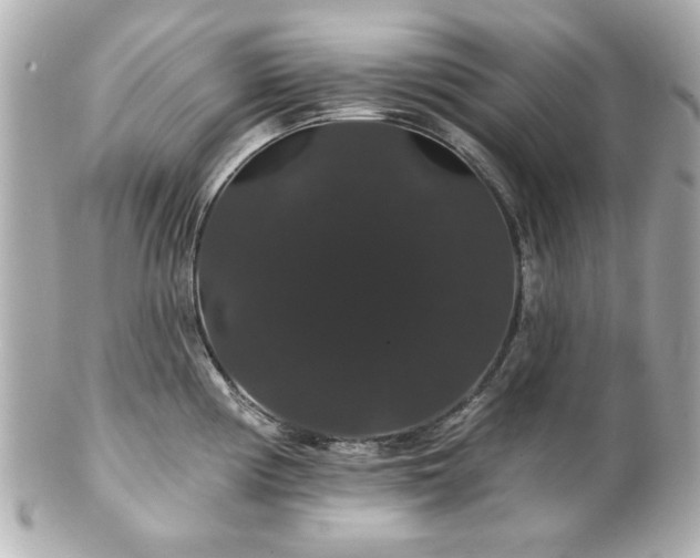 X0000100891194200807011150