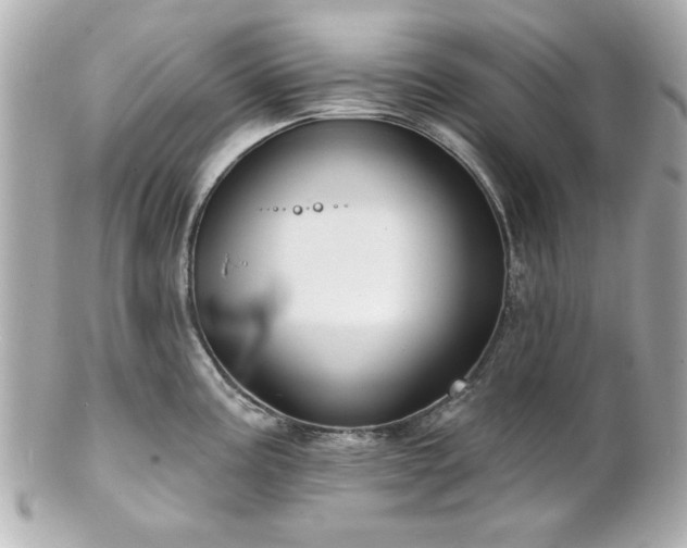 X0000100891195200807011150