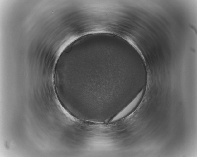 X0000100891197200807011150