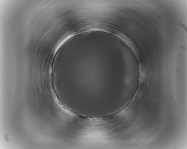 X0000100891198200807011150