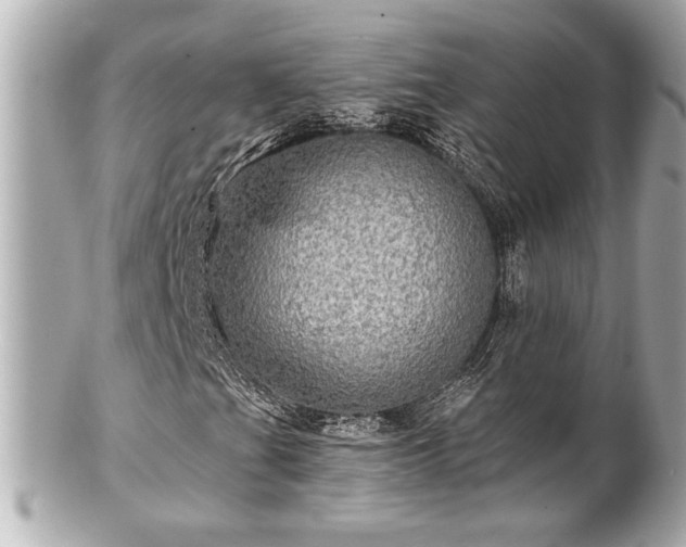 X0000100891201200807011149