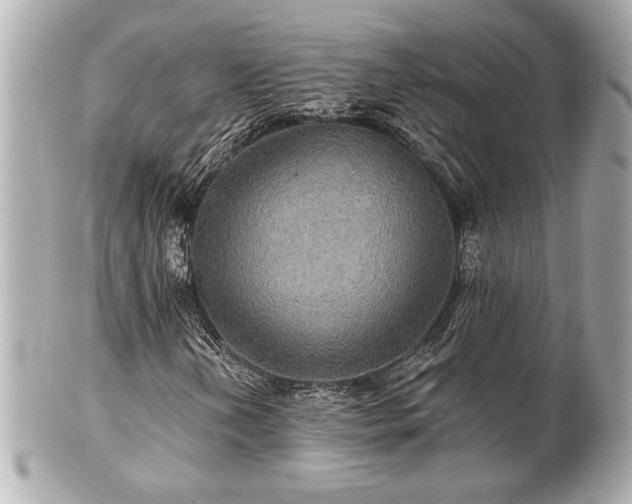 X0000100891202200807011149