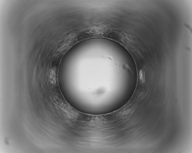 X0000100891203200807011149