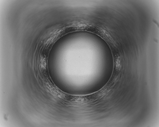 X0000100891204200807011149