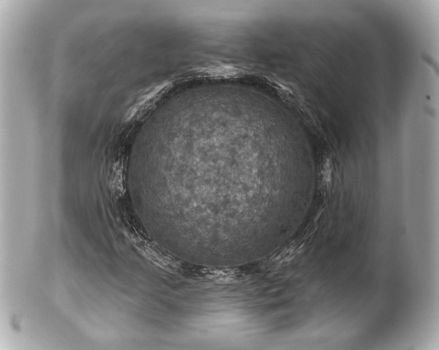 X0000100891205200807011149
