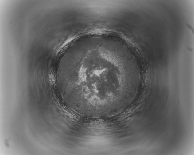 X0000100891206200807011149